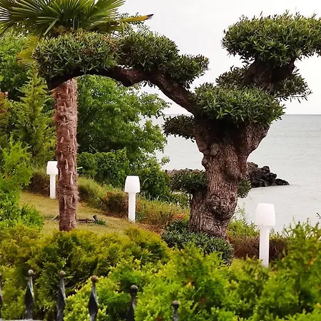 Apartment каса реал с 2 спальнями